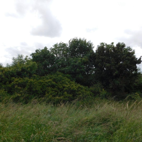  FAMICITY 2 : Terrain | FONTENAY-LE-COMTE (85200) | 0 m2 | 42 000 € 