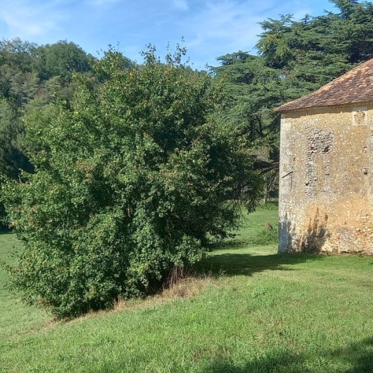  FAMICITY 2 : Domain / Estate | SAINT-GEORGES-DE-MONTCLARD (24140) | 350 m2 | 840 000 € 