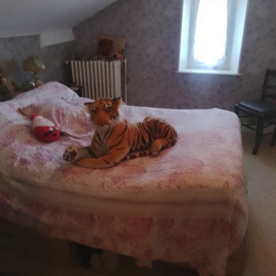 FAMICITY 2 : Maison / Villa | NOMEXY (88440) | 75 m2 | 128 400 € 