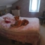  FAMICITY 2 : Maison / Villa | NOMEXY (88440) | 75 m2 | 128 400 &euro; 