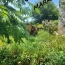  FAMICITY 2 : House | BERGERAC (24100) | 240 m2 | 320 000 &euro; 