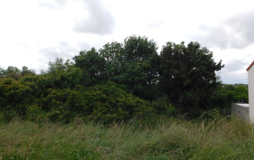 FAMICITY 2 : Terrain | FONTENAY-LE-COMTE (85200) | 0 m2 | 42 000 € 