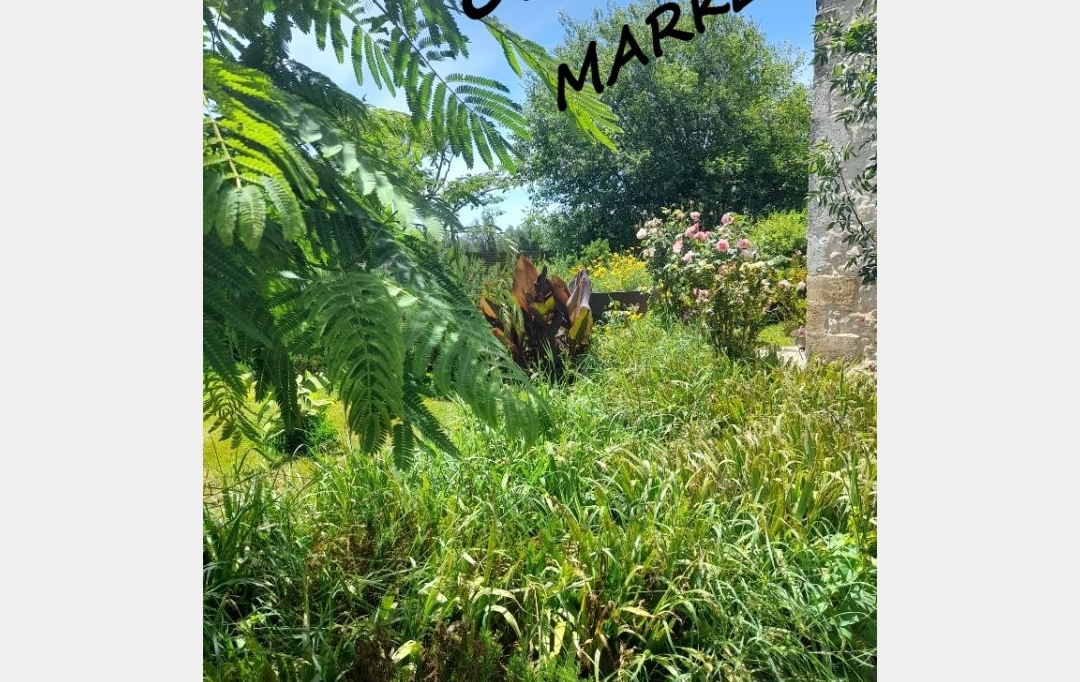 FAMICITY 2 : House | BERGERAC (24100) | 240 m2 | 320 000 &euro; 