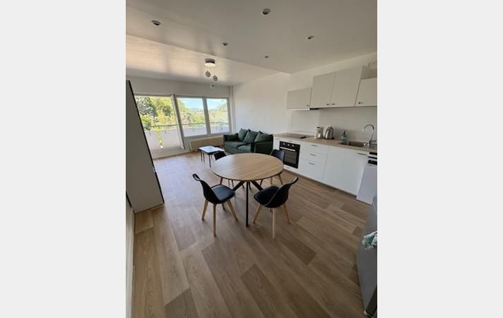 Appartement P3 LYON 53 m2 210 000 € Appartement P3 LYON 53 m2 210 000 €