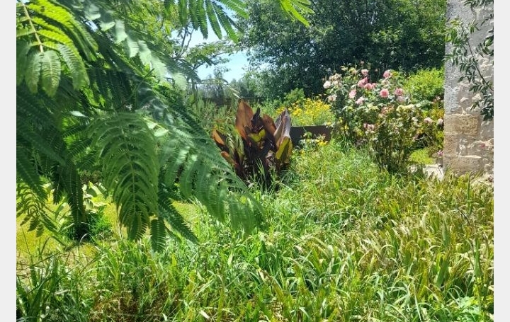  FAMICITY 2 House | BERGERAC (24100) | 240 m2 | 320 000 € 