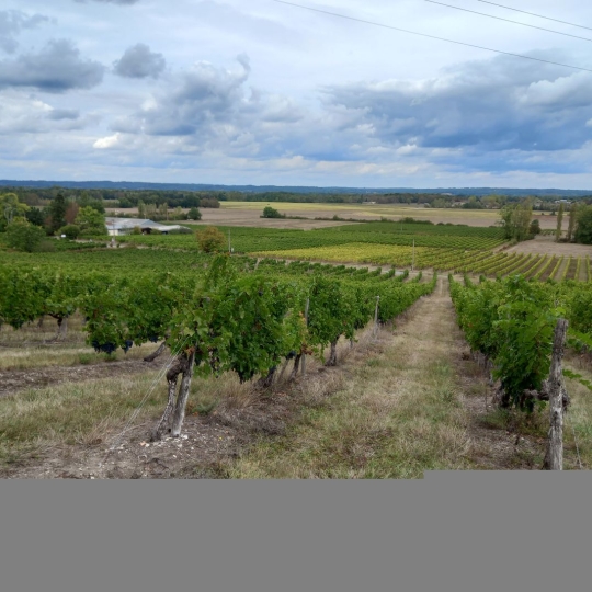  FAMICITY 2 : Maison / Villa | RAZAC-DE-SAUSSIGNAC (24240) | 450 m2 | 850 000 € 