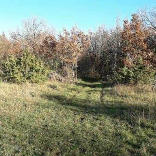  FAMICITY 2 : Domaines / Propriétés | LA ROCHE-CHALAIS (24490) | 385 m2 | 2 100 000 € 