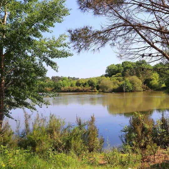  FAMICITY 2 : Domaines / Propriétés | LA ROCHE-CHALAIS (24490) | 385 m2 | 2 100 000 € 