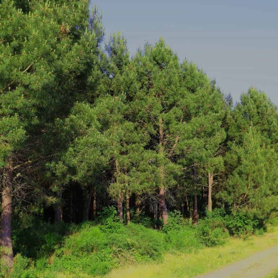  FAMICITY 2 : Domaines / Propriétés | LA ROCHE-CHALAIS (24490) | 385 m2 | 2 100 000 € 