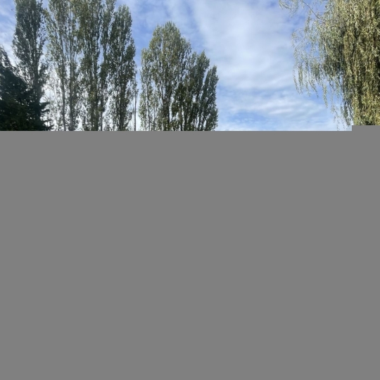  FAMICITY 2 : Maison / Villa | MESSERY (74140) | 160 m2 | 920 000 € 