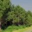  FAMICITY 2 : Domaines / Propriétés | LA ROCHE-CHALAIS (24490) | 385 m2 | 2 100 000 € 
