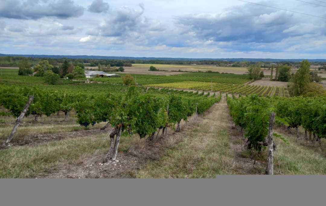 FAMICITY 2 : Maison / Villa | RAZAC-DE-SAUSSIGNAC (24240) | 450 m2 | 850 000 € 