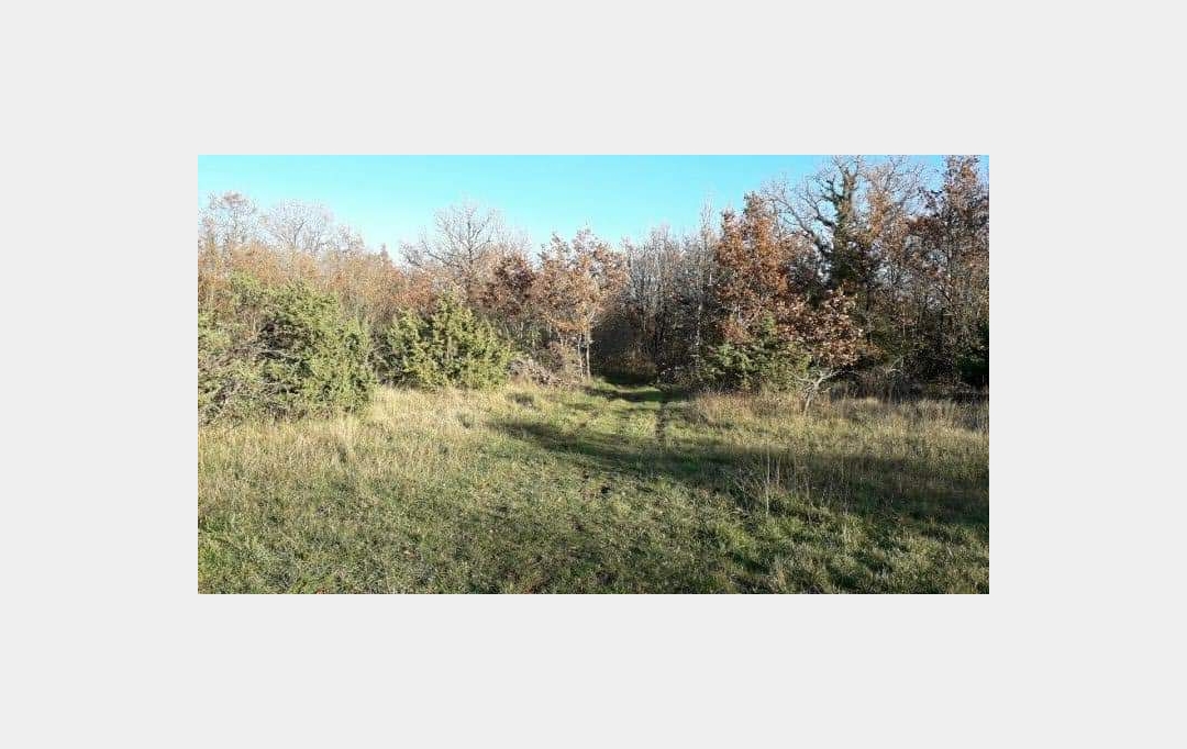 FAMICITY 2 : Domaines / Propriétés | LA ROCHE-CHALAIS (24490) | 385 m2 | 2 100 000 € 
