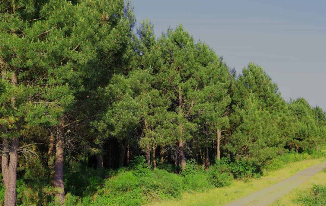 FAMICITY 2 : Domaines / Propriétés | LA ROCHE-CHALAIS (24490) | 385 m2 | 2 100 000 € 