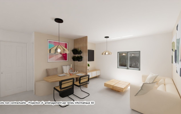 Appartement P4 LYON 66 m2 284 000 € Appartement P4 LYON 66 m2 284 000 €